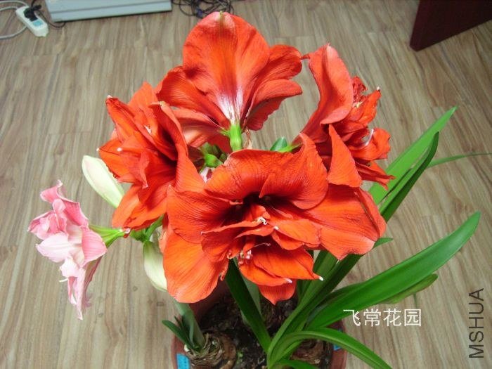pict2348.jpg
