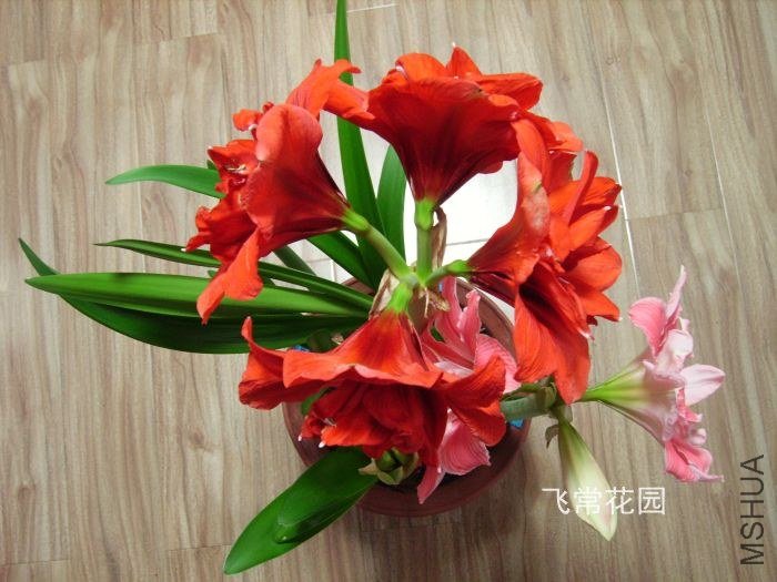 pict2350.jpg