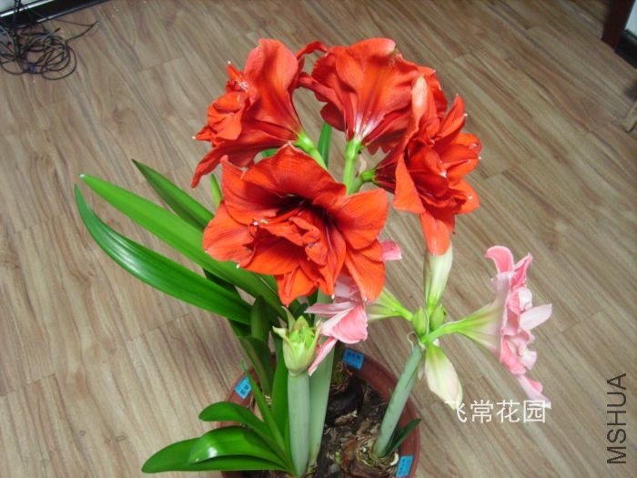 pict2353.jpg
