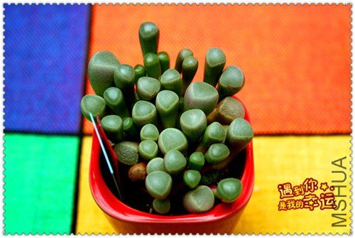 ��Ƭ 081_����.jpg