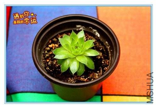 ��Ƭ 089_����.jpg