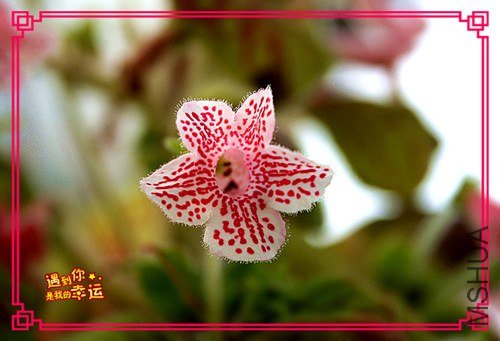 ��Ƭ 018_����.jpg