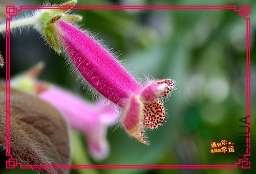 ��Ƭ 008_����.jpg