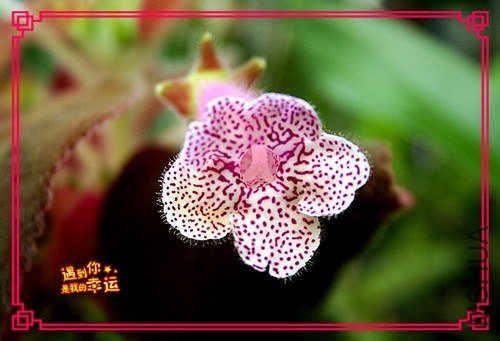 ��Ƭ 014_����.jpg