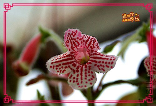 ��Ƭ 016_����.jpg