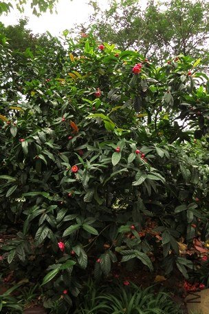 IMG_5706.jpg