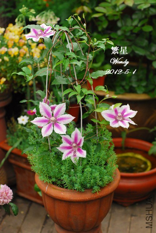 2012-5-20-1����һ��.jpg