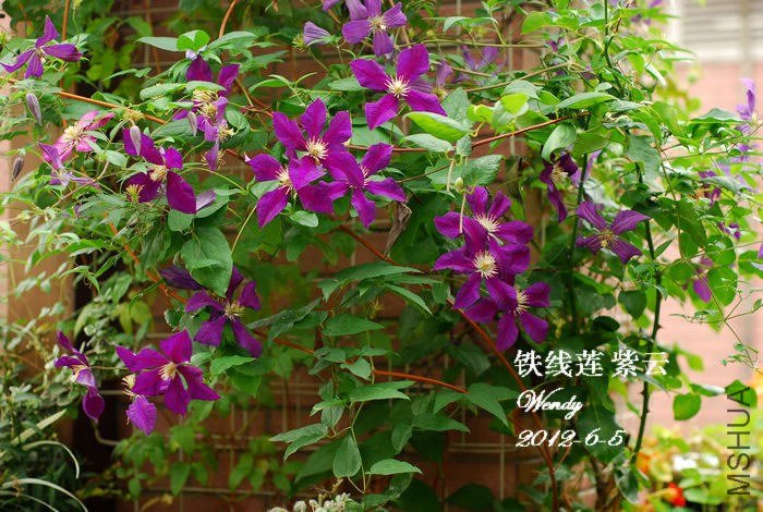 2012-6-5����.jpg