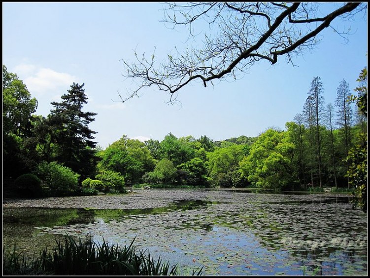 nEO_IMG_���� 028.jpg