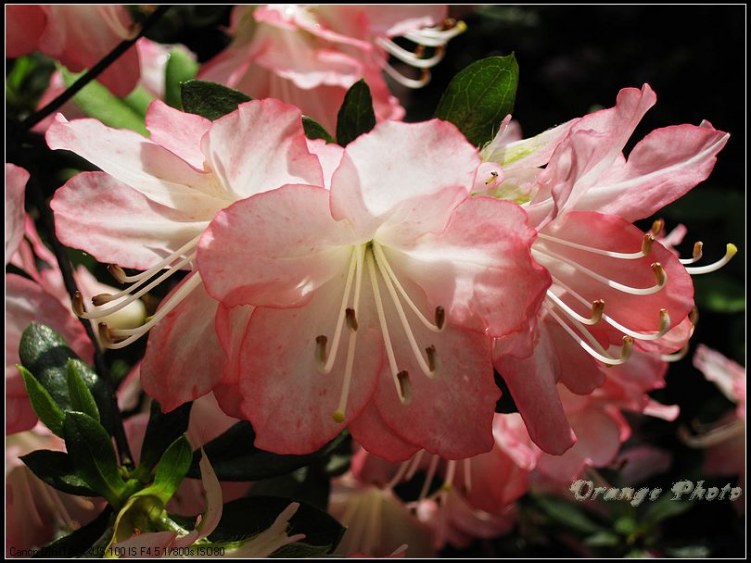 nEO_IMG_���� 023.jpg