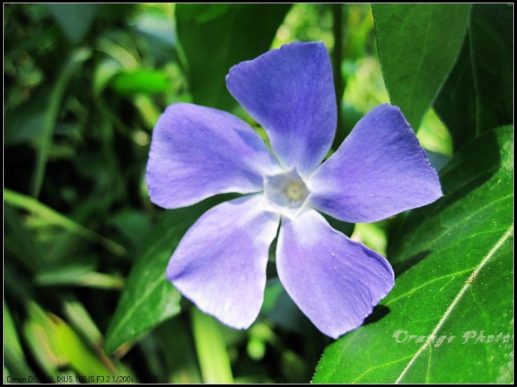 nEO_IMG_���� 026.jpg