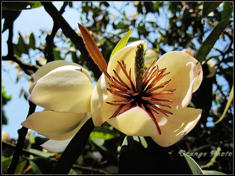 nEO_IMG_���� 031.jpg