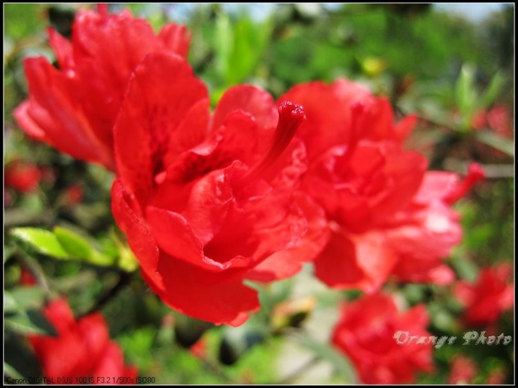 nEO_IMG_���� 071.jpg