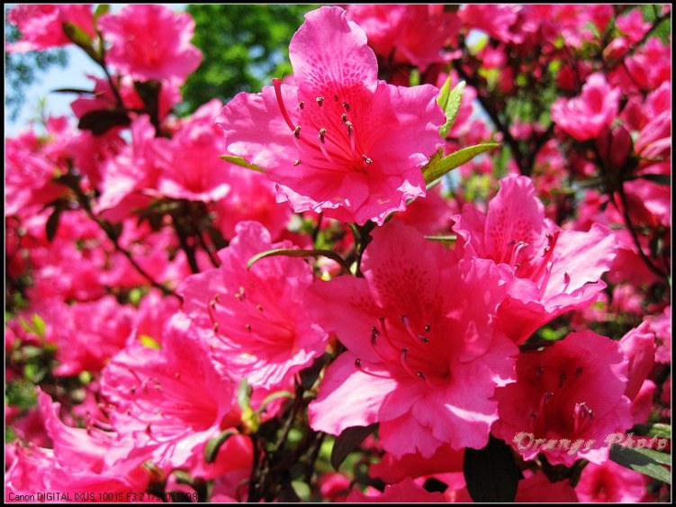 nEO_IMG_���� 074.jpg