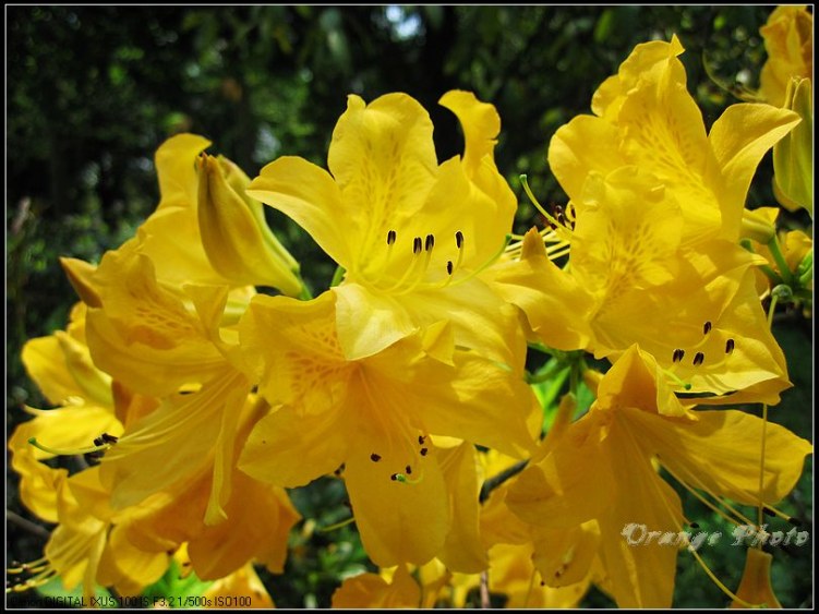 nEO_IMG_���� 079.jpg