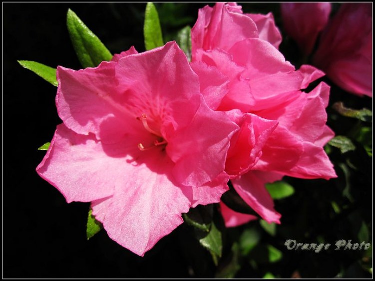 nEO_IMG_���� 090.jpg