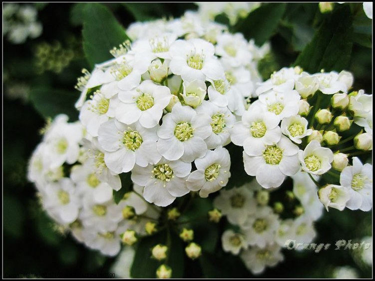 nEO_IMG_���� 185.jpg