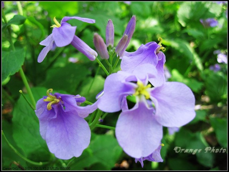 nEO_IMG_���� 124.jpg