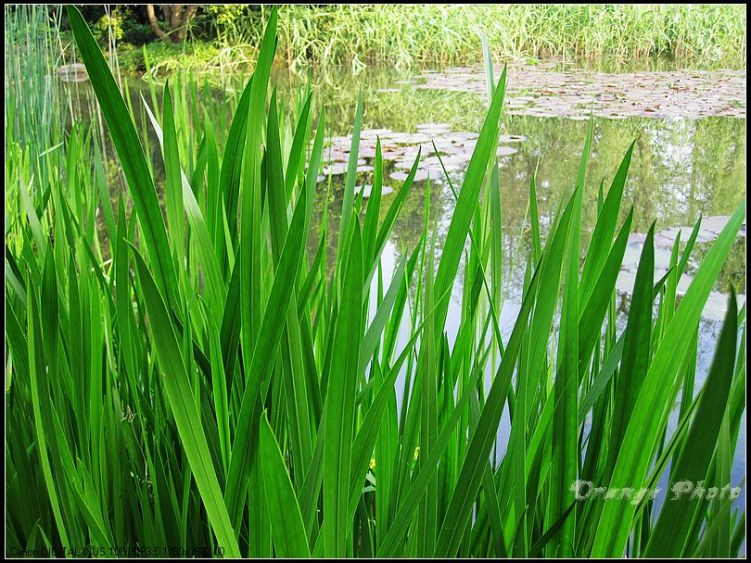 nEO_IMG_���� 184.jpg