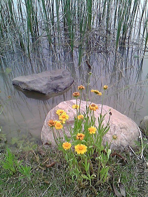 IMG0220A.jpg