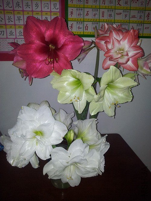 20130215_231226_����.jpg