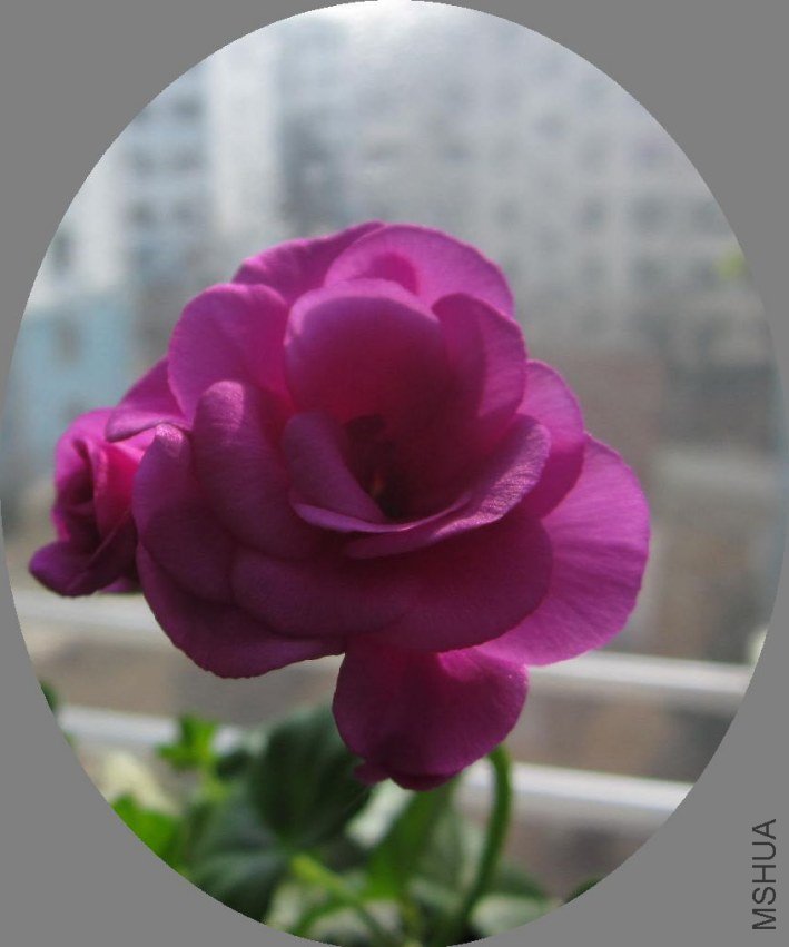 IMG_158911.jpg