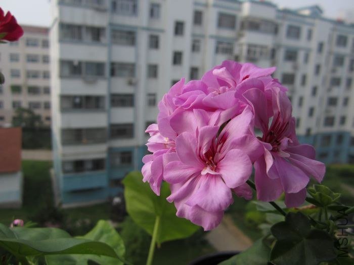 nEO_IMG_IMG_0953.jpg