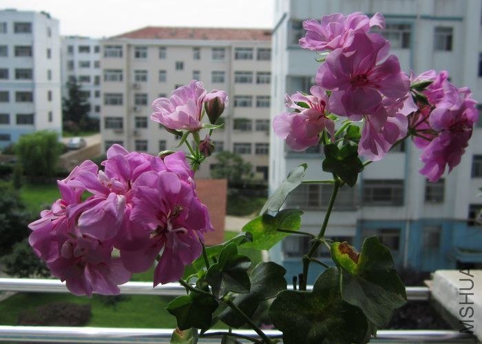 nEO_IMG_IMG_1033.jpg