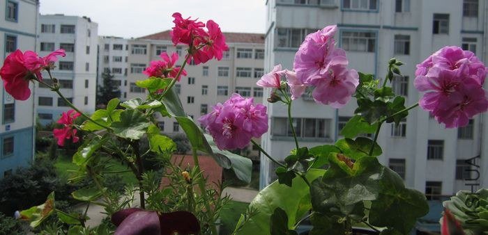 nEO_IMG_IMG_1034.jpg