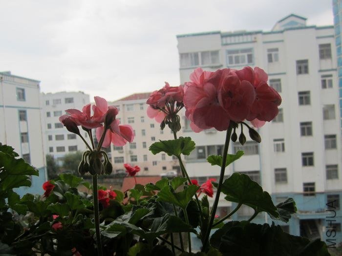 nEO_IMG_IMG_1130.jpg