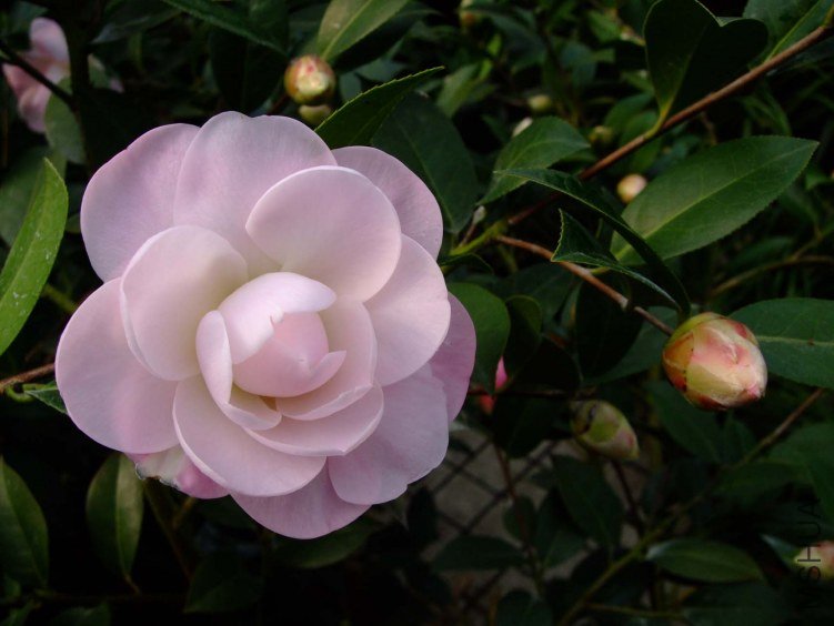Ʈ�� 2013-2-16 049.jpg