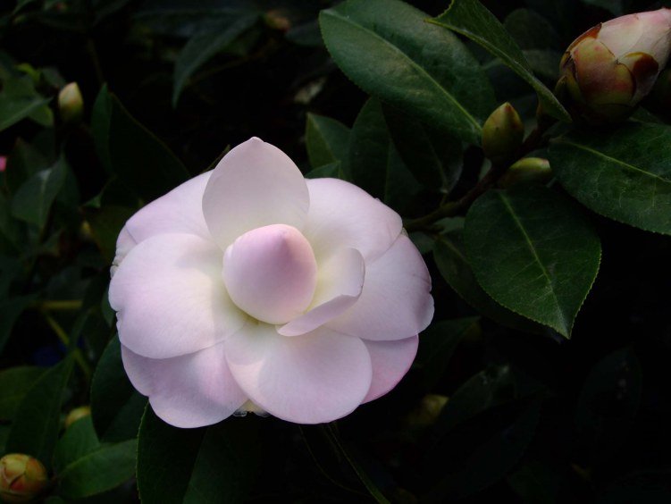 Ʈ�� 2013-2-16 058.jpg