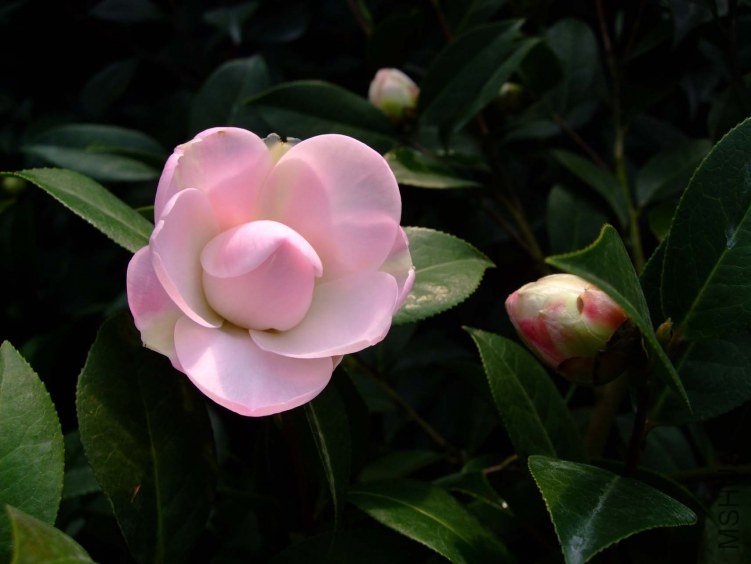 Ʈ�� 2013-2-16 069.jpg