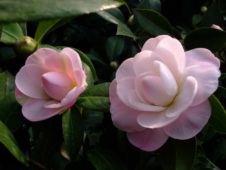Ʈ�� 2013-2-16 071.jpg