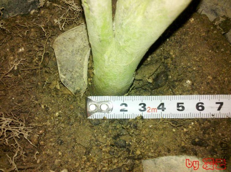 2013-02-16_14-33-24_135.jpg