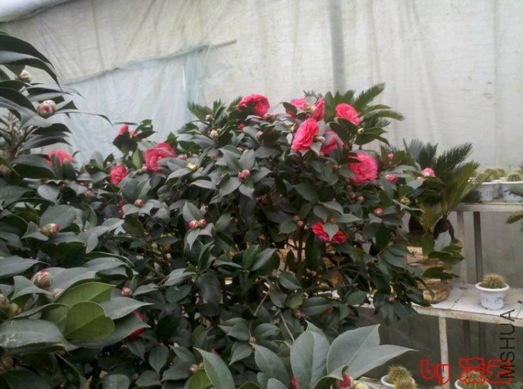 2013-02-16_13-37-44_180.jpg