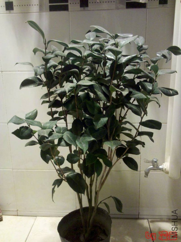 2013-02-16_14-30-10_18.jpg