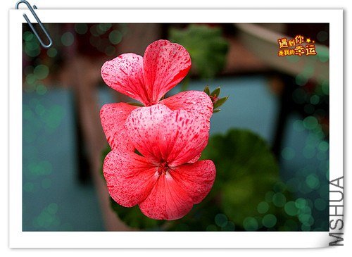 ��Ƭ 004_����.jpg