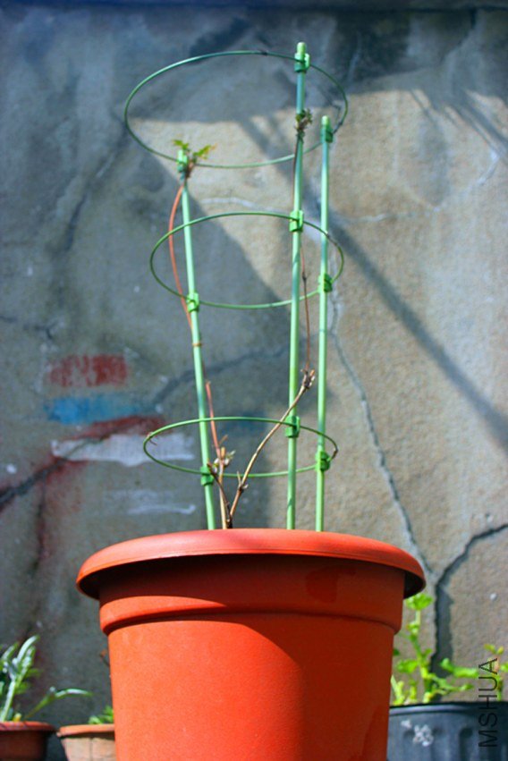 ������������а�Ƚ�����