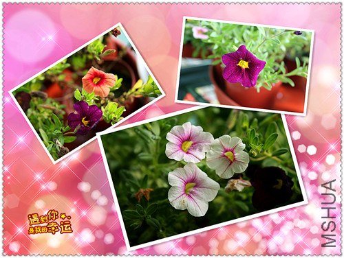 ��Ƭ 014_����.jpg