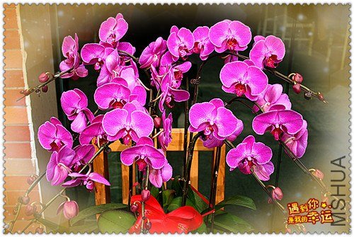 ��Ƭ 011_����.jpg