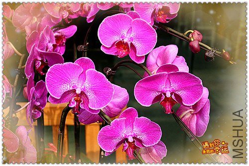 ��Ƭ 013_����.jpg