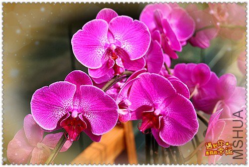 ��Ƭ 015_����.jpg