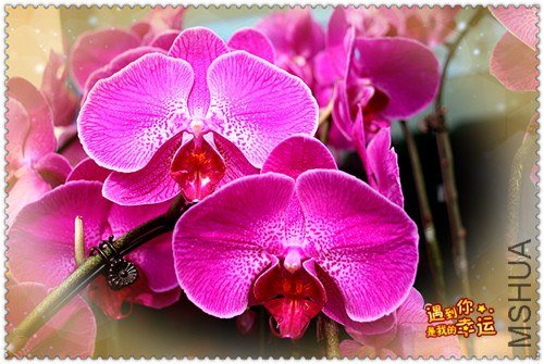 ��Ƭ 017_����.jpg