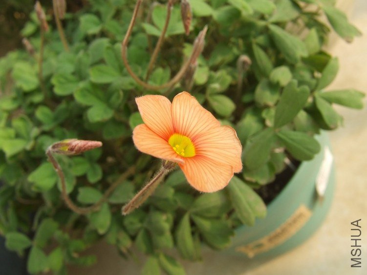DSCF4805.jpg