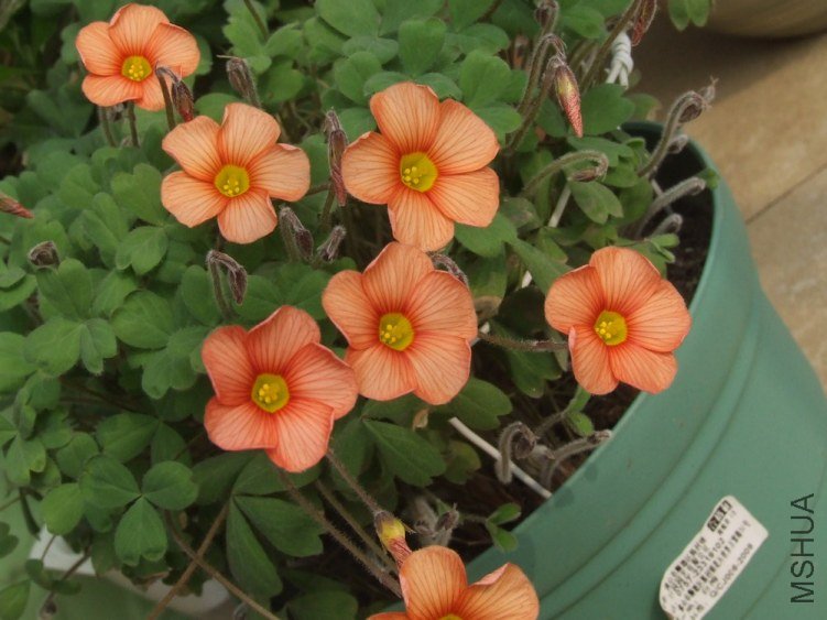 DSCF4941.jpg