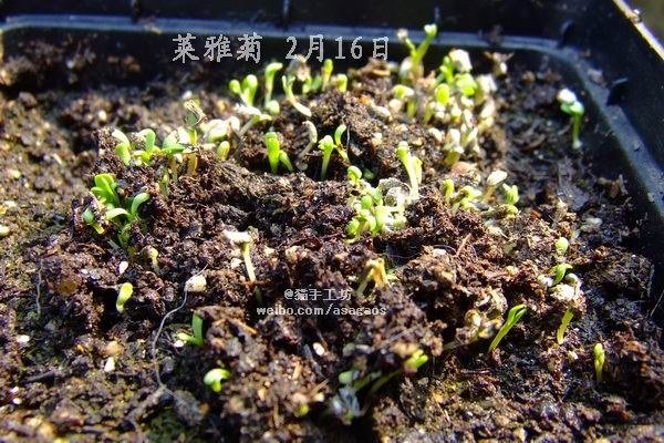 ���ž� 2013-0216(040).jpg