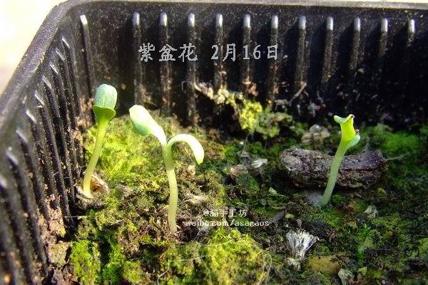 ���軨 2013-0216(036).jpg