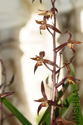 DSC_7934 (266x400).jpg