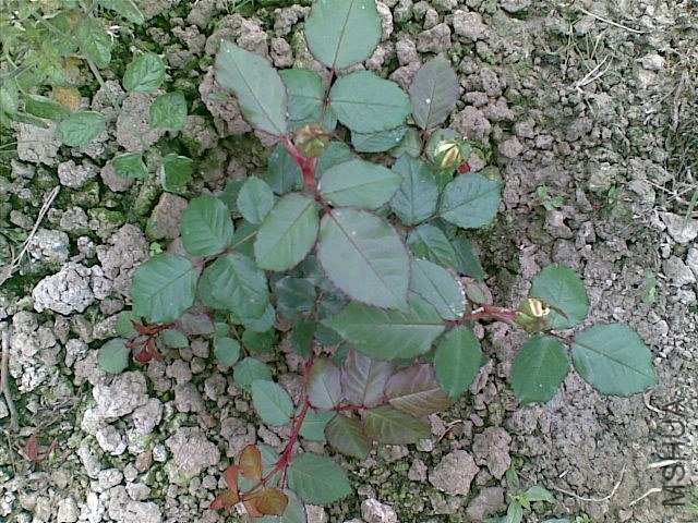 20130217.jpg
